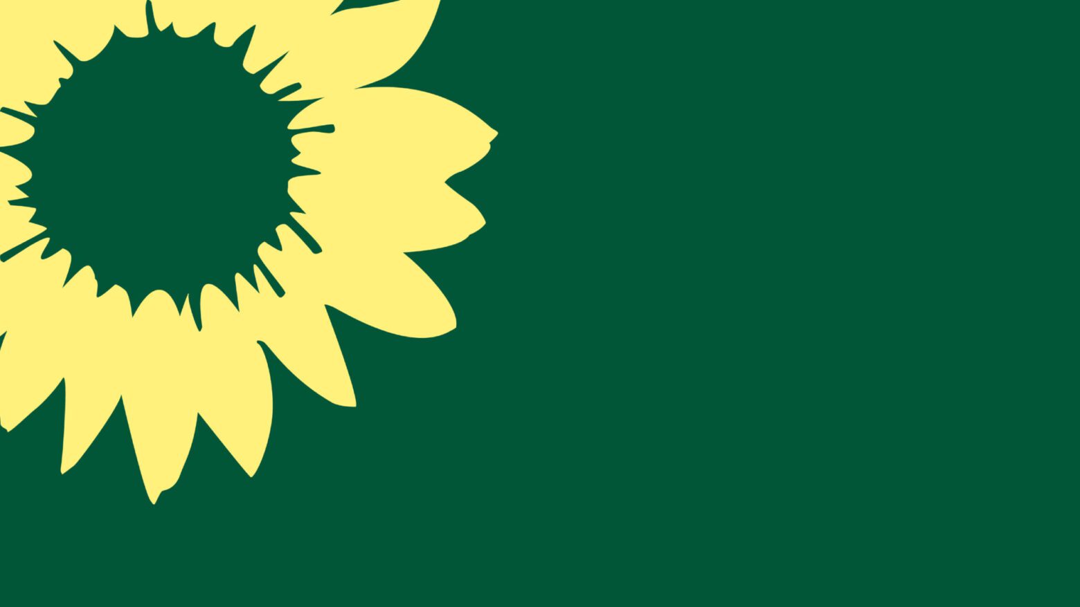 Grüne Saarbrücken fordern Subventionen für Flughafen beenden