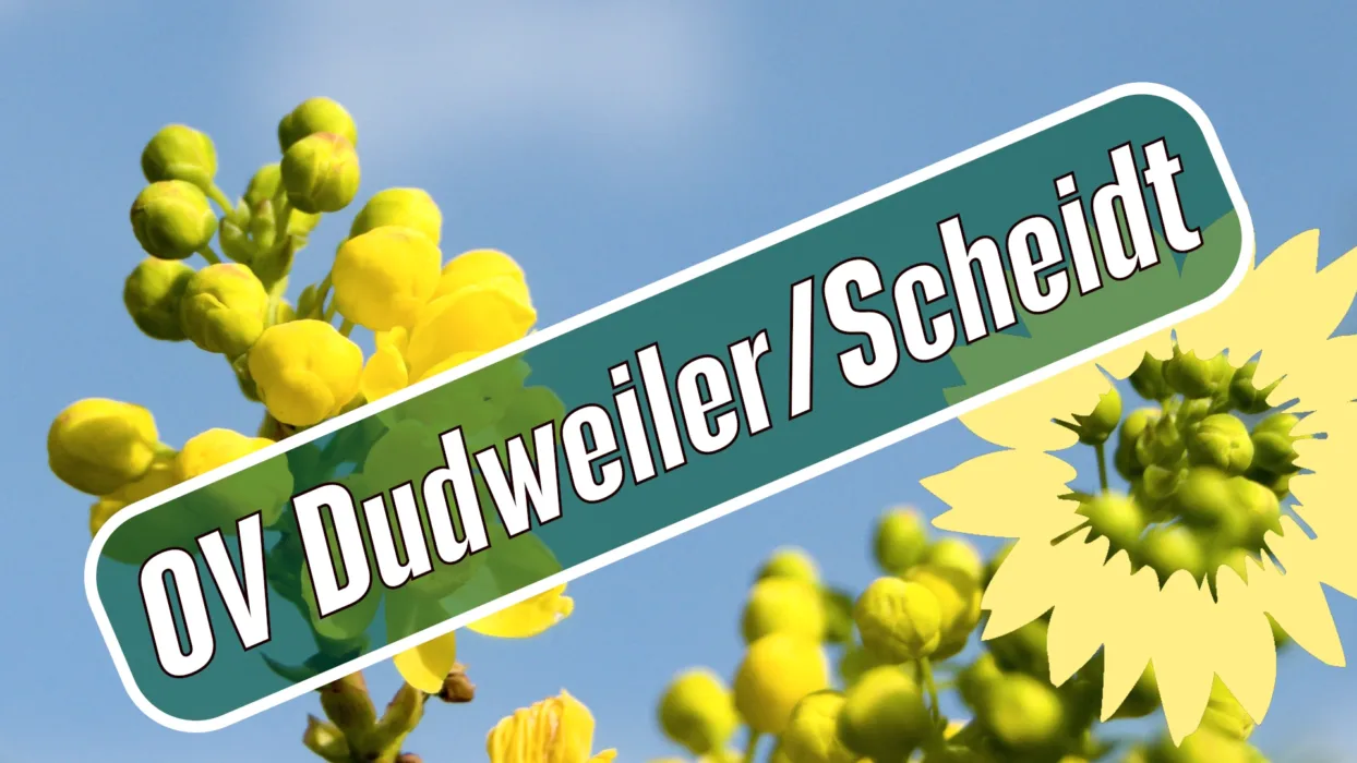 Treffen des Ortsverbands Dudweiler/Scheidt
