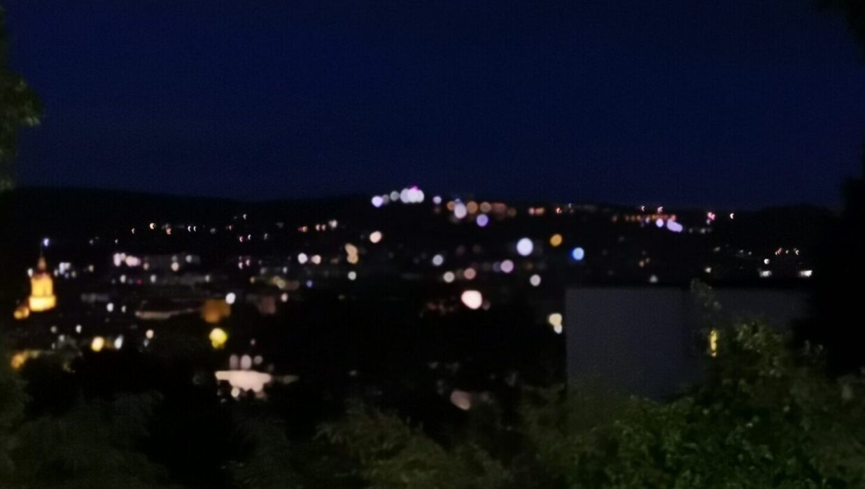 Grüne Saarbrücken fordern entschlossenes Handeln gegen Lichtverschmutzung