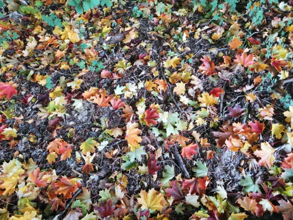 Klimaschutz