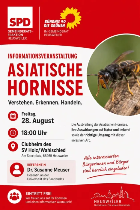 Asiatische Hornisse – erkennen, einordnen und richtig handeln